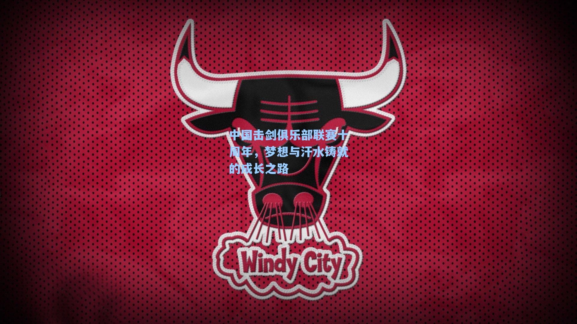 中国击剑俱乐部联赛十周年，梦想与汗水铸就的成长之路