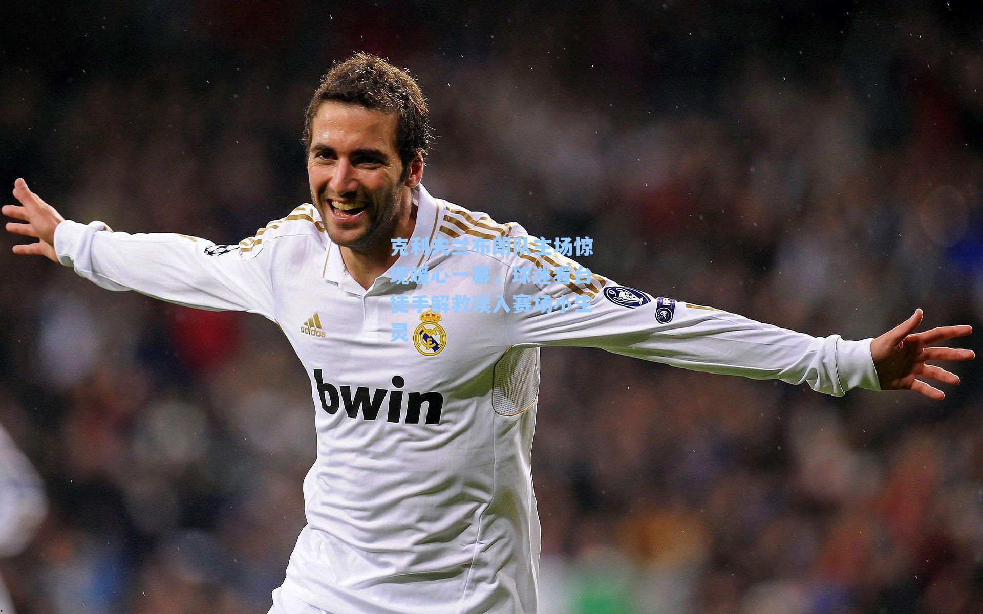 克利夫兰布朗队主场惊现暖心一幕，球迷看台徒手解救误入赛场小生灵