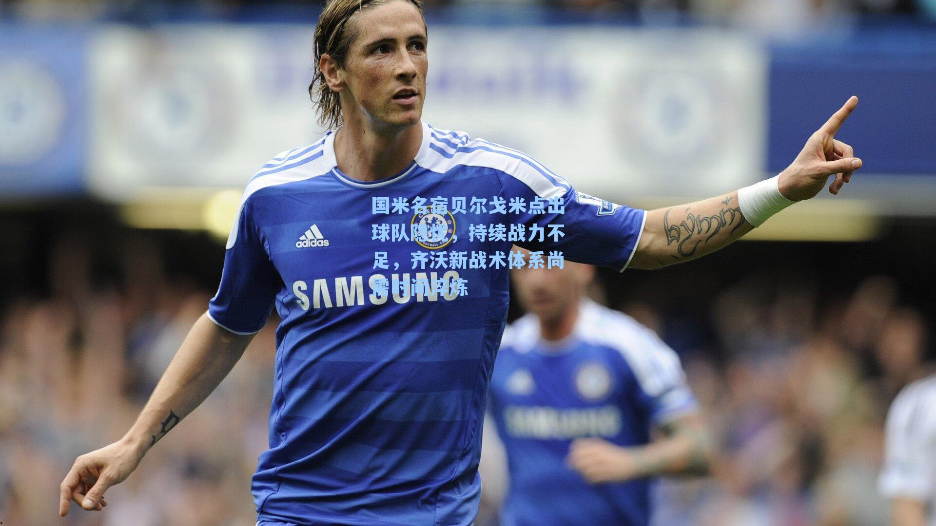 国米名宿贝尔戈米点出球队隐忧，持续战力不足，齐沃新战术体系尚需时间淬炼