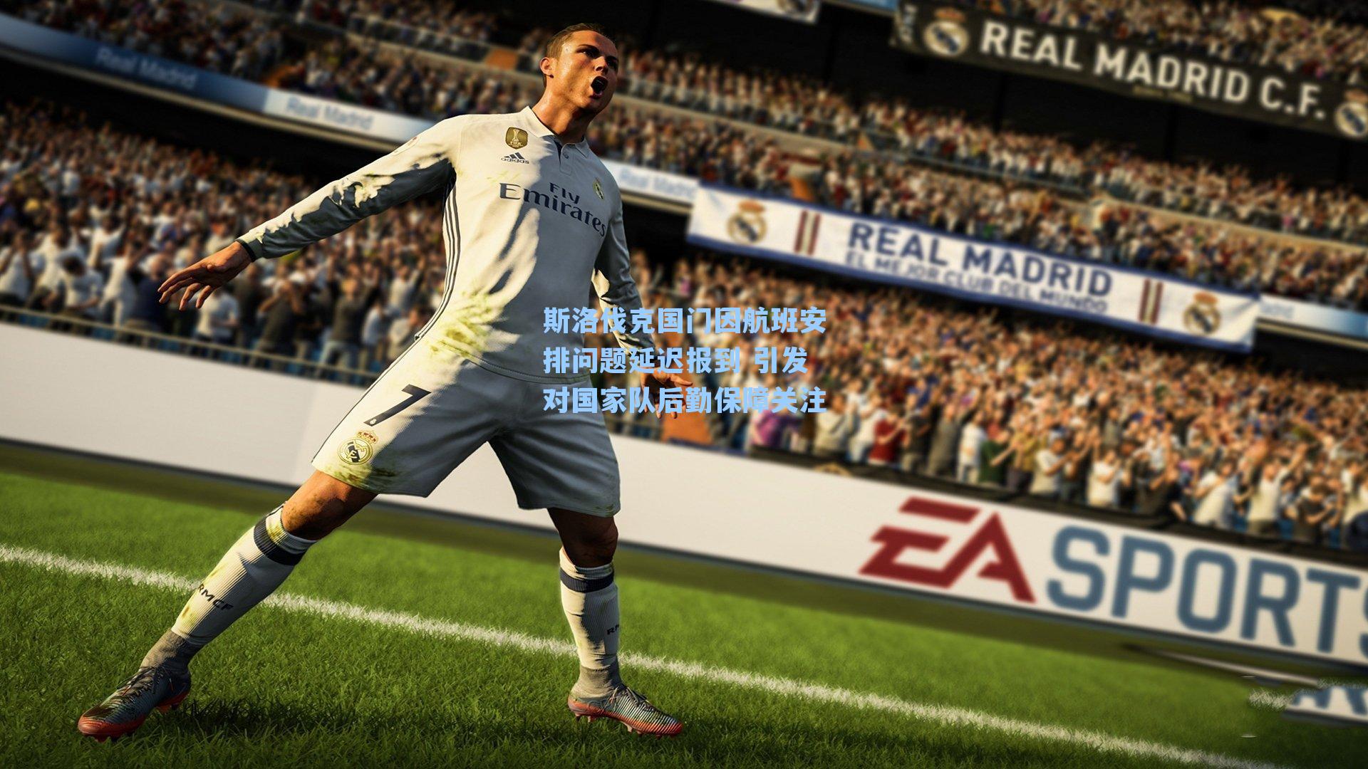 斯洛伐克国门因航班安排问题延迟报到 引发对国家队后勤保障关注