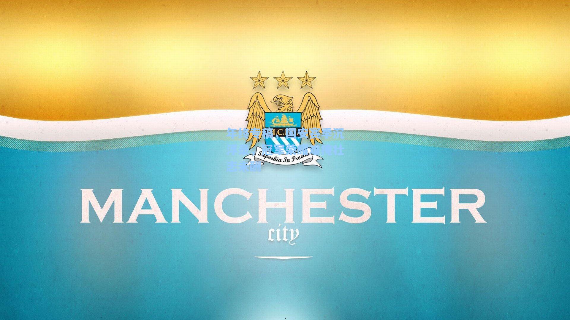 年终专稿，国安赛季沉浮录，冠军荣耀难掩壮志未酬